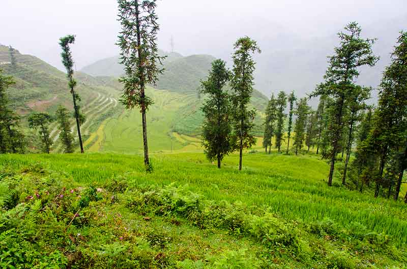 229 - Vietnam - Sapa - paisaje bajo la lluvia